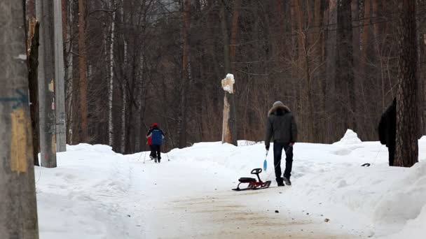 Прогулка в зимнем парке — стоковое видео
