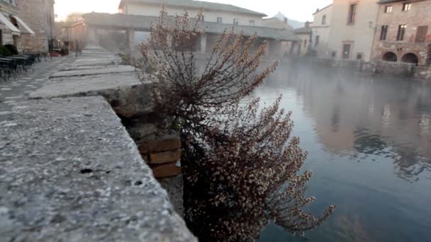 Planta muerta cerca del agua en la niebla de la mañana — Vídeos de Stock