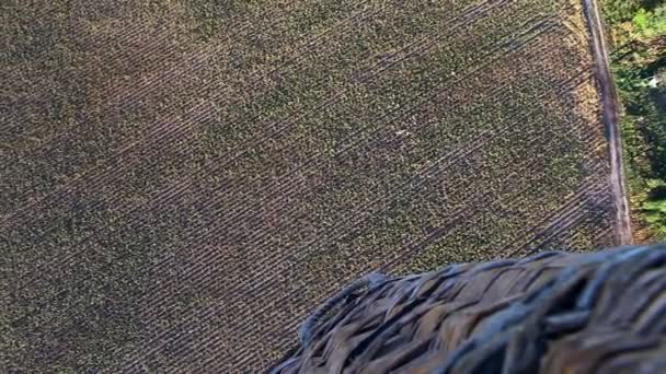 Вид с воздуха на пустое поле — стоковое видео