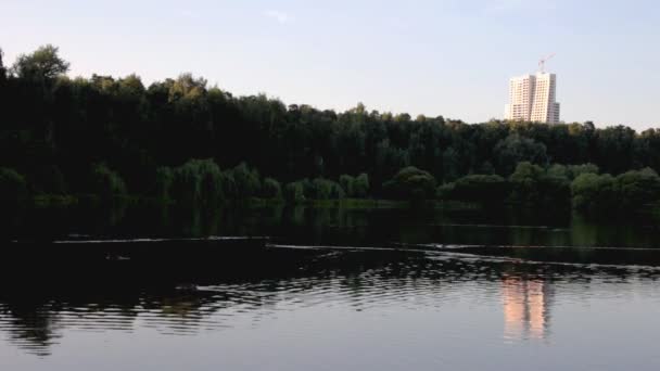 Вечер в парке, озере и зеркале — стоковое видео