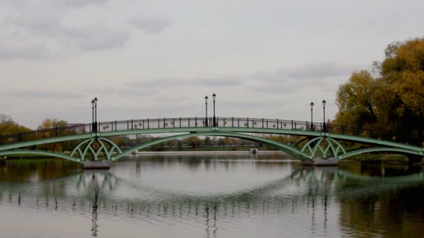 Puente sobre el agua en el parque — Vídeo de stock