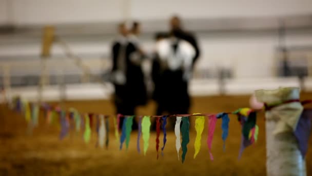 Barrière du drapeau et arène — Video