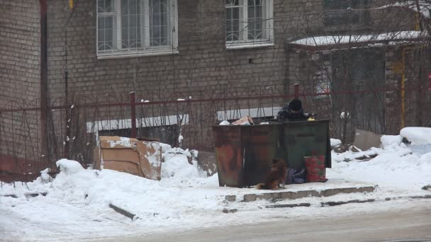 Búsqueda de indigentes en la basura — Vídeo de stock
