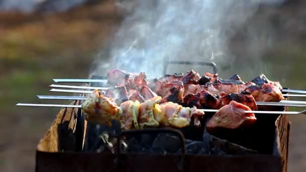 Крупный план жареного мяса на барбекю с дымом — стоковое видео