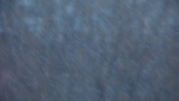 Chutes de neige dures blizzard en hiver Russie 