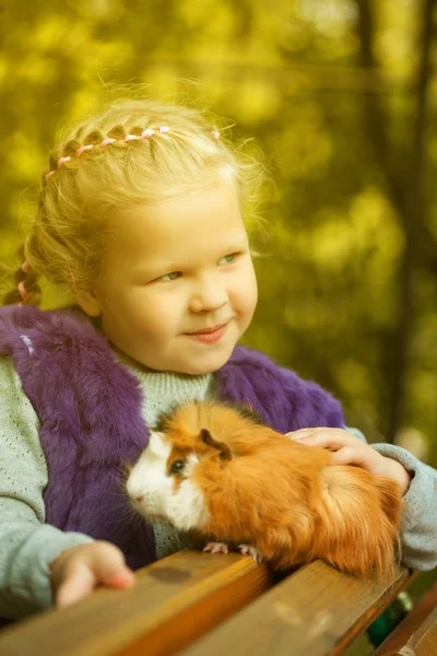 モルモットとポーズちゃめっ気たっぷり笑顔の女の子 — ストック写真