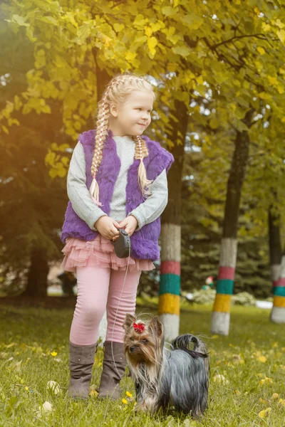 Милая маленькая девочка, гуляющая с Йоркширским терьером — стоковое фото