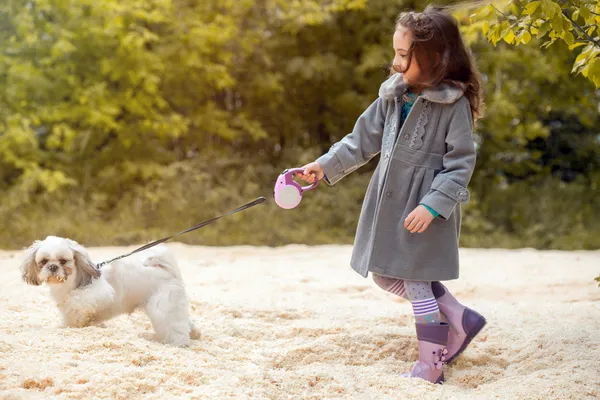 Image of little fashionista walking with dog — Stock Photo, Image