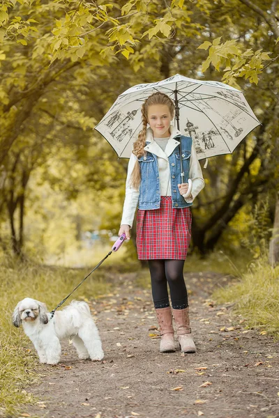 Charming little model posing in park with puppy — Stock Photo, Image