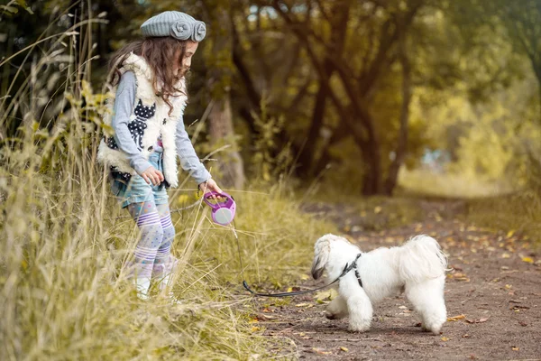 Immagine di bella bambina che gioca con cane carino — Foto Stock