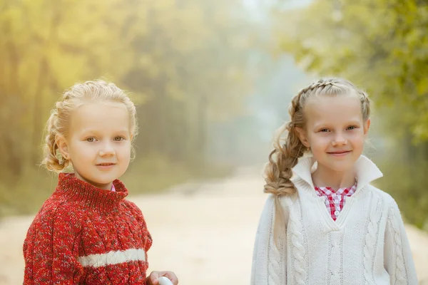 Portret van mooie jonge zusters poseren in park — Stockfoto