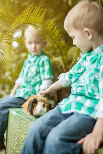 Image of twin boys posing with guinea pig — Stock Photo, Image