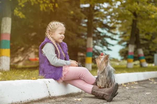 Image of cute little girl playing with dog in park — Stock Photo, Image