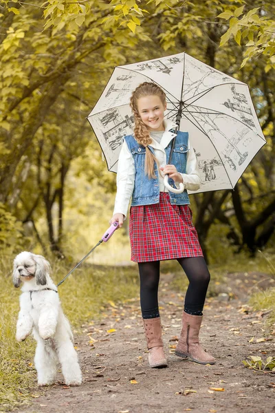 Sorridente fashionista in posa con cane nel parco — Foto Stock