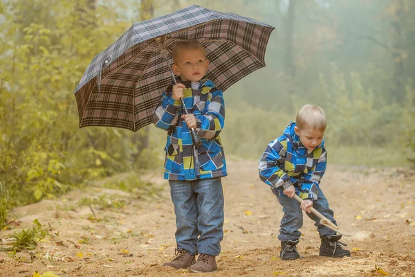 Two young brothers playing in autumn park — Stock Photo, Image