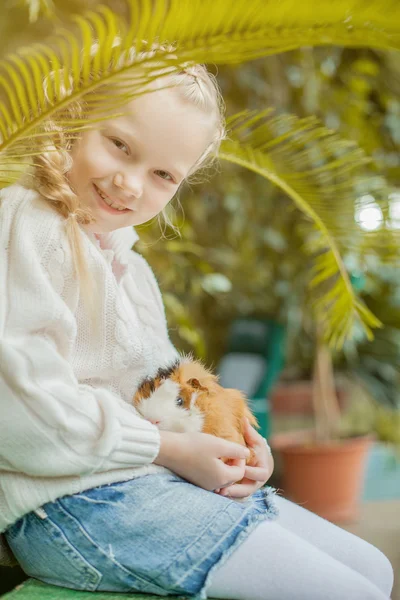 Adorable girl playing with cavy looking at camera — Stock Photo, Image