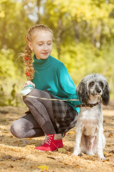 Bella ragazza che cammina con cane nel parco autunnale — Foto Stock