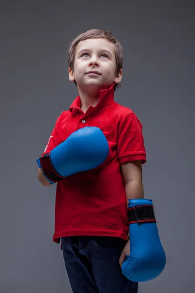Изображение милого молодого боксера, позирующего в студии — стоковое фото