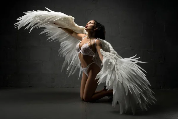 Gentle woman in underwear and feather wings in studio Royalty Free Stock Images