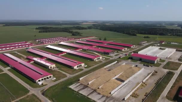 Drohnen Ansicht Der Modernen Flachbau Fabrikgebäude Von Lagerhallen Grünen Feld — Stockvideo