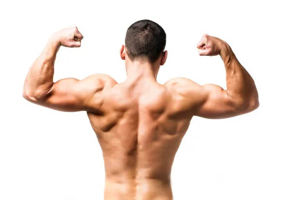 Muscular male back Stock Photo