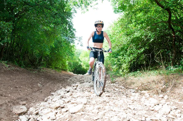 Mountain biker — Stock Photo, Image