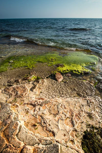 Texturizado orilla del mar — Foto de Stock