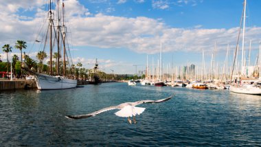 martı Port