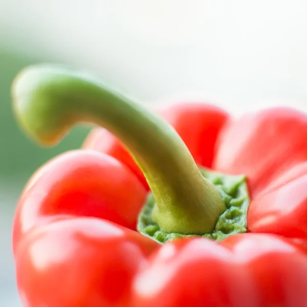 Röd paprika — Stockfoto