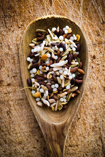 Spices in a spoon — Stock Photo, Image