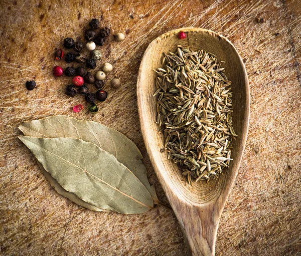 Bir kaşık içinde baharatlar — Stok fotoğraf