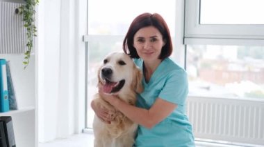 Golden retriever köpeği ve veteriner