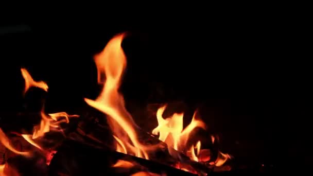 Beautiful flame of bonfire — Stock Video