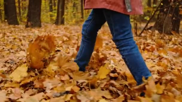 Mädchen wirft Blätter mit ihren Füßen — Stockvideo