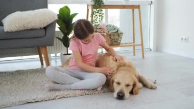 Golden retriever köpeğini okşayan kız