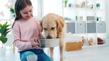 Küçük kız Golden Retriever köpeğini besliyor
