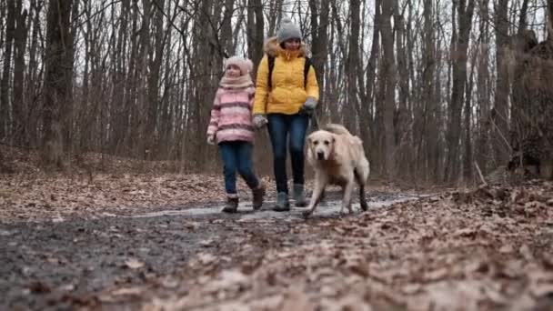 Familie wandelingen in het bos — Stockvideo