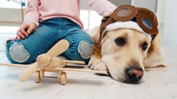 Κοριτσάκι και σκύλος γκόλντεν ριτρίβερ με καπέλα πιλότου. — Αρχείο Βίντεο