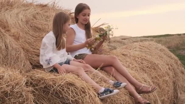Kızlar samanlıkta oturuyor — Stok video
