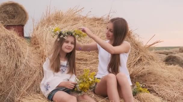 Girls sitting on hay — Stock Video