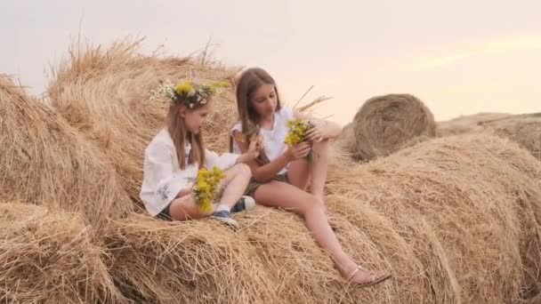 Flickor som sitter på hö — Stockvideo
