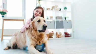 Golden retriever köpeğini okşayan küçük kız.