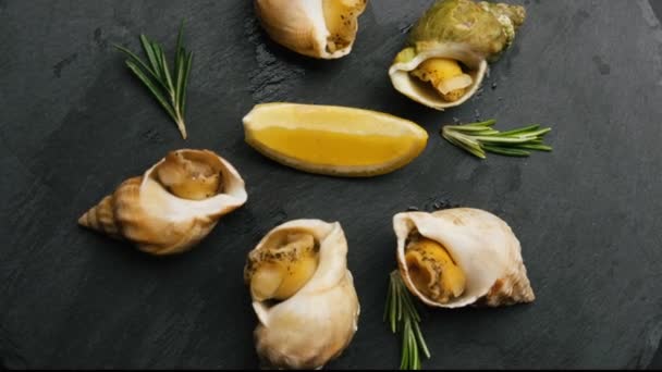 Snails with lemon on black plate — Stock Video