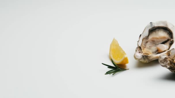 Oysters with lemon isolated on white background — Stock Video