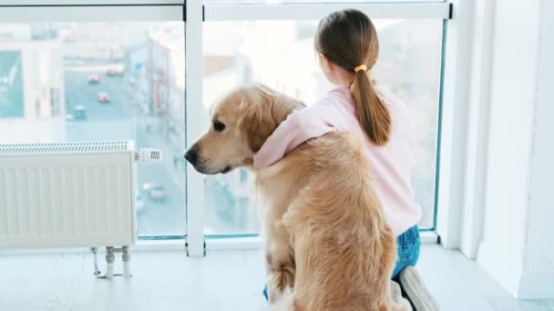 Lille pige sidder med golden retriever hund – Stock-video