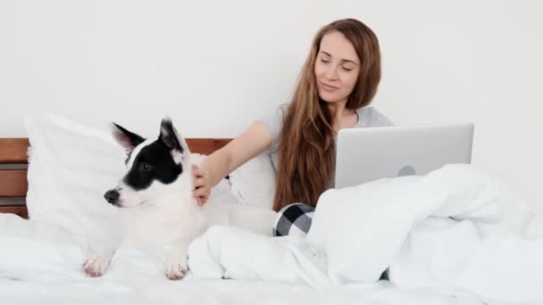 Gadis dengan laptop dan anjing di tempat tidur — Stok Video