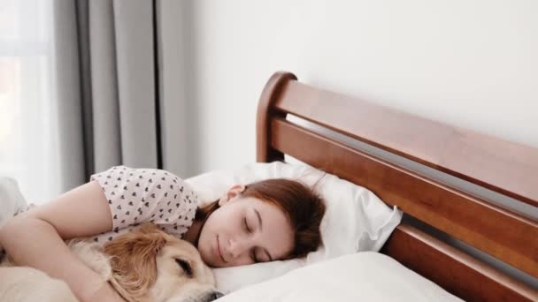 Lány arany retriever kutya az ágyban — Stock videók