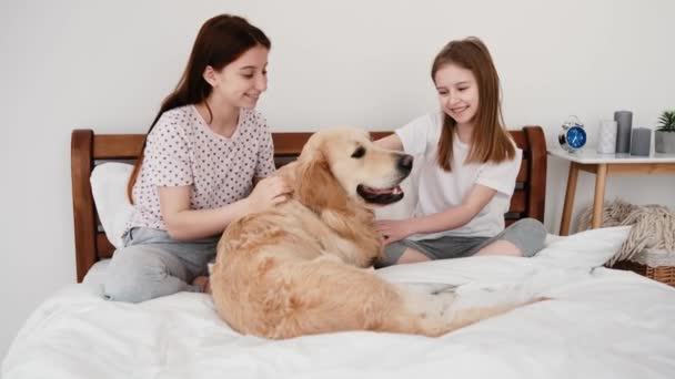 Meninas com cão golden retriever na cama — Vídeo de Stock