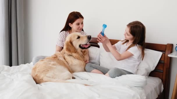 Девушки с золотой собакой-ретривером в постели — стоковое видео