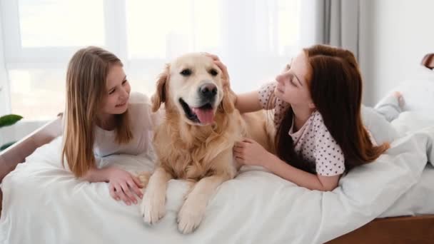 Chicas con perro golden retriever en la cama — Vídeos de Stock